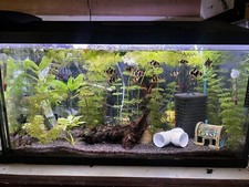 110 litre fish tank With