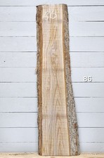 Elm Live Edge Timber 1250mm x