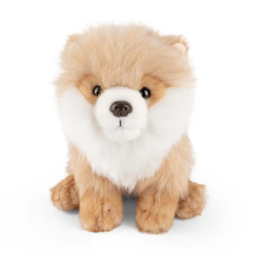 Living nature an641 pomeranian - an641,