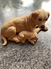 Royal Osborne Golden Labrador