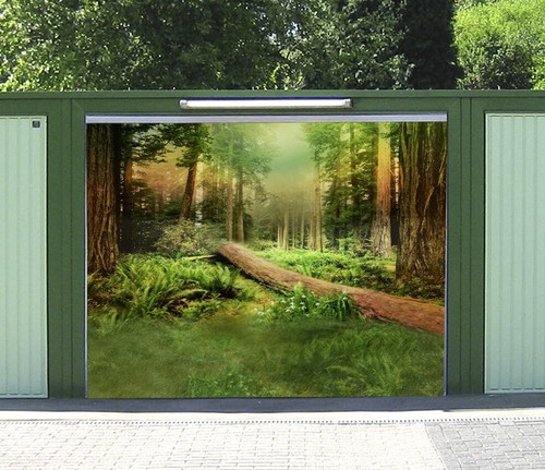 Beautiful forest n190 - beautiful,