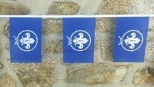 Scouts Blue Variant Flag