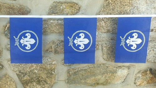 Scouts blue variant flag - blue,
