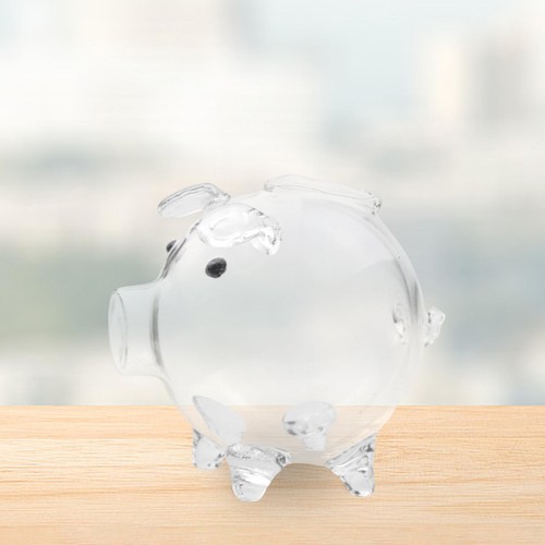 Glass piggy bank small - bank, break