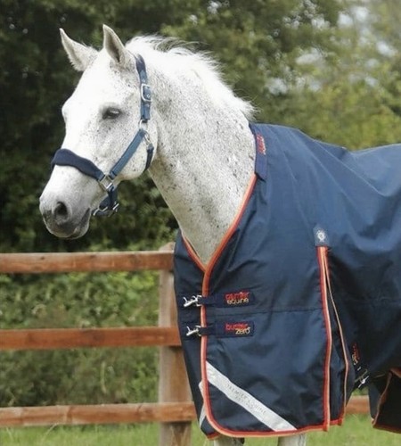 Premier equine stable - premier,