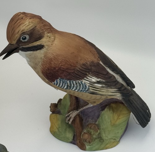 Royal worcester jay - royal,
