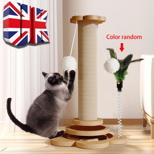 Tall large cat - large, post