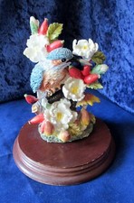 Leonardo Collection Nature