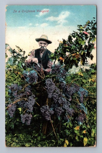 Antique california postcard - antique,