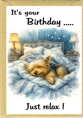 Yorkshire terrier yorkie - /,