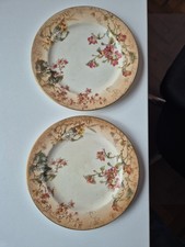 Vintage Royal Doulton Painted