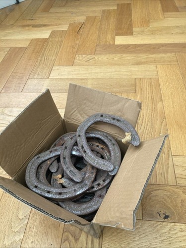Used horseshoes 20 - horseshoes, x