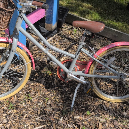 Pendleton 20in girls kids bike - girls,