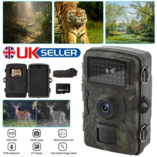 Wildlife trail camera - wildlife, 1080p