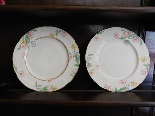 Floral alfred meakin - 2,