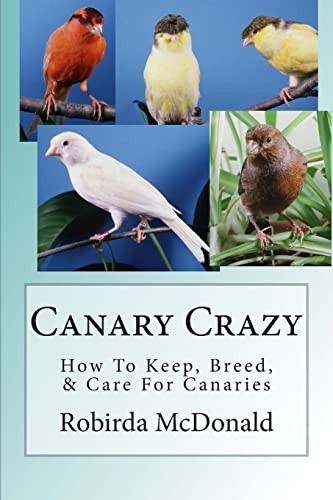 Canary crazy how keep - canary,
