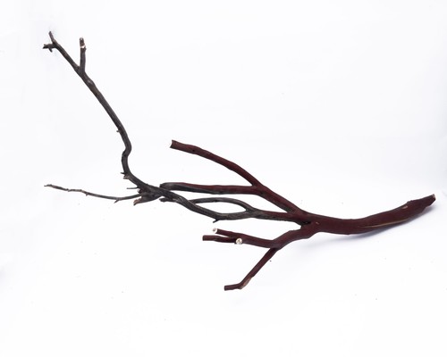 Manzanita wood - manzanita, xl