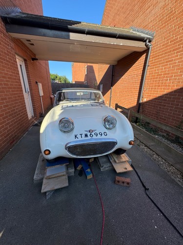 Austin healey sprite - sprite,