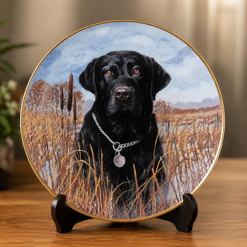 Vintage black labrador - black,