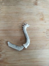 Dark Elf V War Hydra Neck