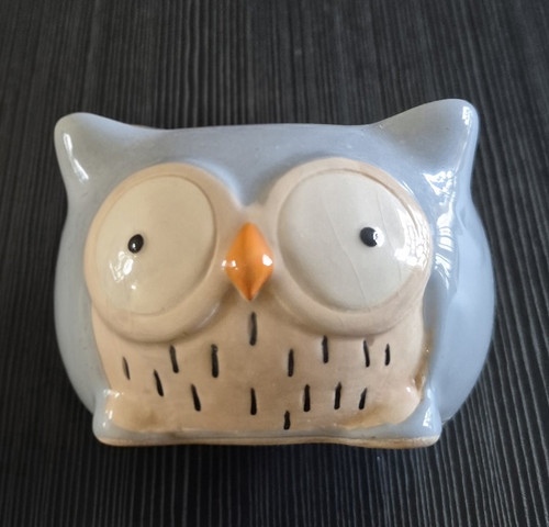 Glazed ceramic owl - owl, succulent
