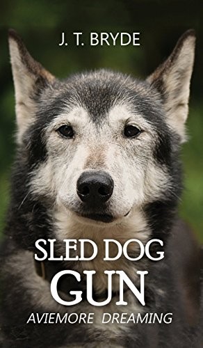 Sled dog gun aviemore - sled, gun: