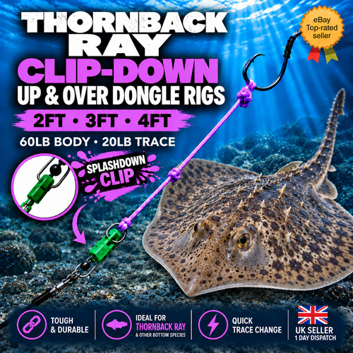 Sea rigs thornback ray - thornback, clip