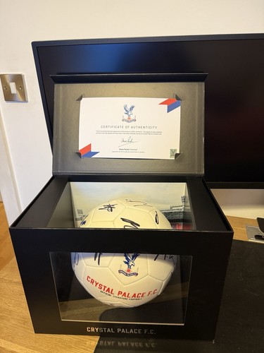 Official crystal palace cup - official,