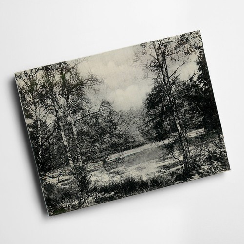 Print vintage surrey - a3,