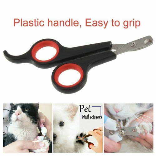 Pro pet dog - pet, cat