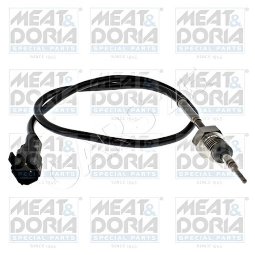 Exhaust gas temperature sensor - gas,