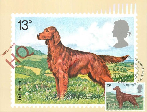 Picture postcard fdi dog - picture, postcard-:fdi,