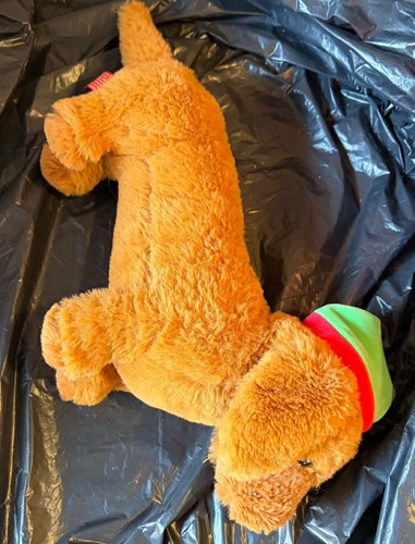 Dachshund sausage dog - sausage,