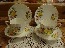 BONE CHINA Trio's x 2 Sampson Smith of Longton Old Royal "Stunning"