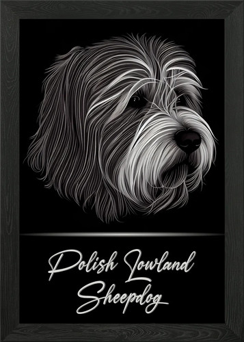 Polish lowland sheepdog - polish, framed