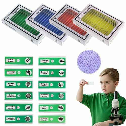 Microscope prepared slides - prepared,