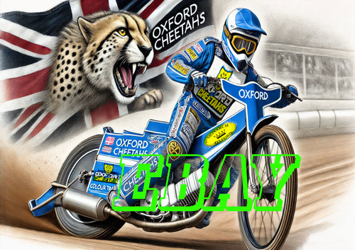 Oxford cheetahs speedway - oxford,