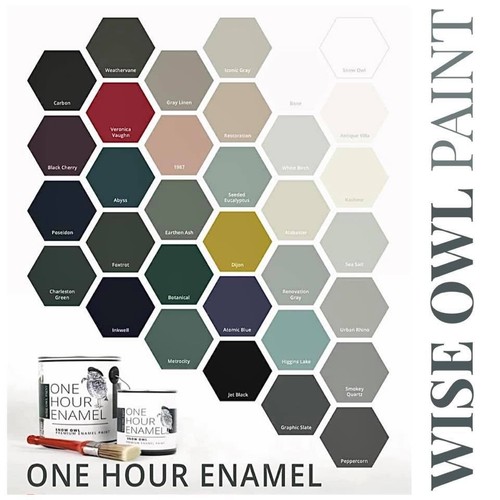 Wise owl one hour enamel - wise,