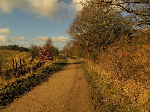 Photo 6x4 bestwood country - photo,