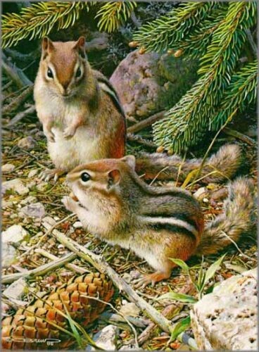 Under the pine trees - the,
