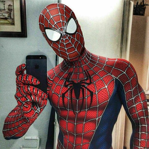 Adult spiderman tobey - adult,