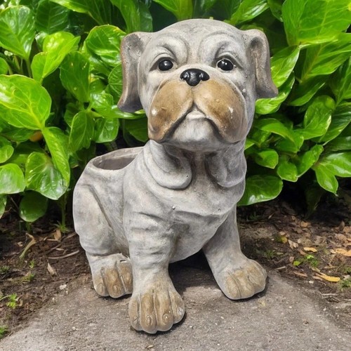 Animal plant pot dog - animal,