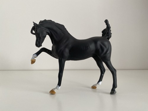 Wia sharif black arabian - sharif,