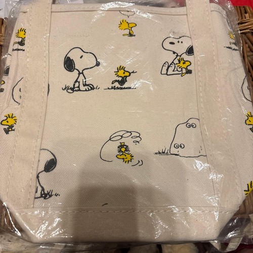 Snoopy woodstock canvas small - canvas,
