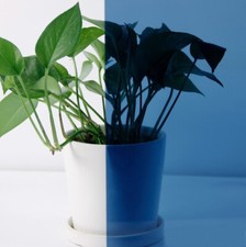 MULTI COLOR TRANSPARENT WINDOW FILM STAINED GLASS SELF ADHESIVE VINYL 3 Sizes