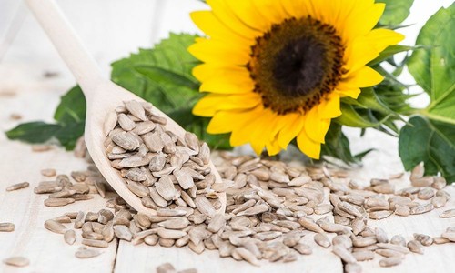 Sunflower seeds 1kg hearts - seeds,