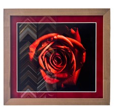 Anti-Reflective UV Protected