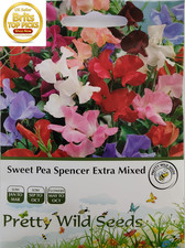 Sweet Pea Spencer Extra Mixed