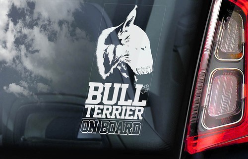 Bull terrier car sticker - bull,
