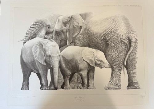 Gary hodges african elephants - gary,